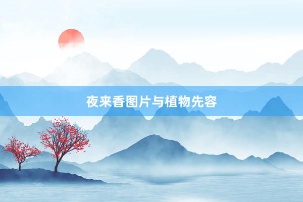 夜来香图片与植物先容