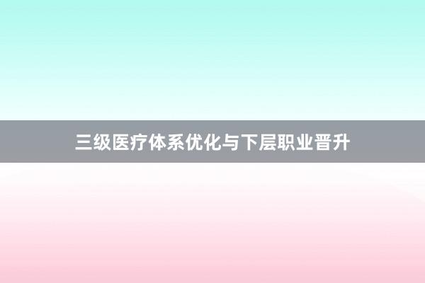 三级医疗体系优化与下层职业晋升
