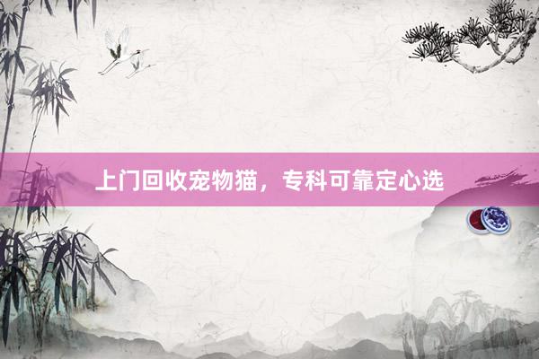 上门回收宠物猫，专科可靠定心选