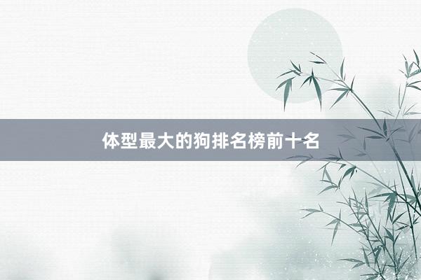 体型最大的狗排名榜前十名